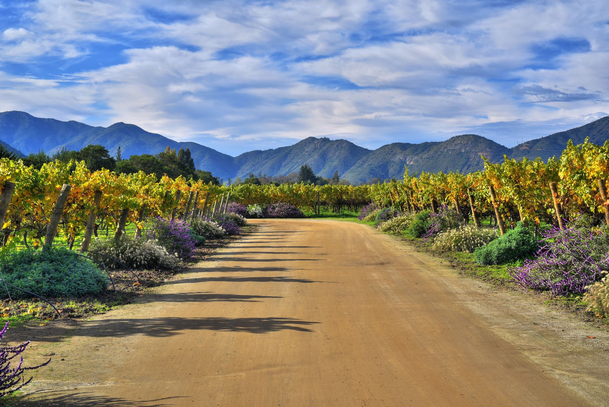 Chile: Coastal Vistas & Vineyards
