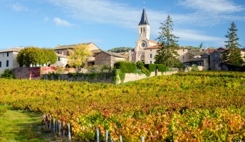 France: Vineyards of Beaujolais 17