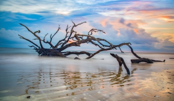 Georgia & Florida: Jekyll Island & St. Augustine 6