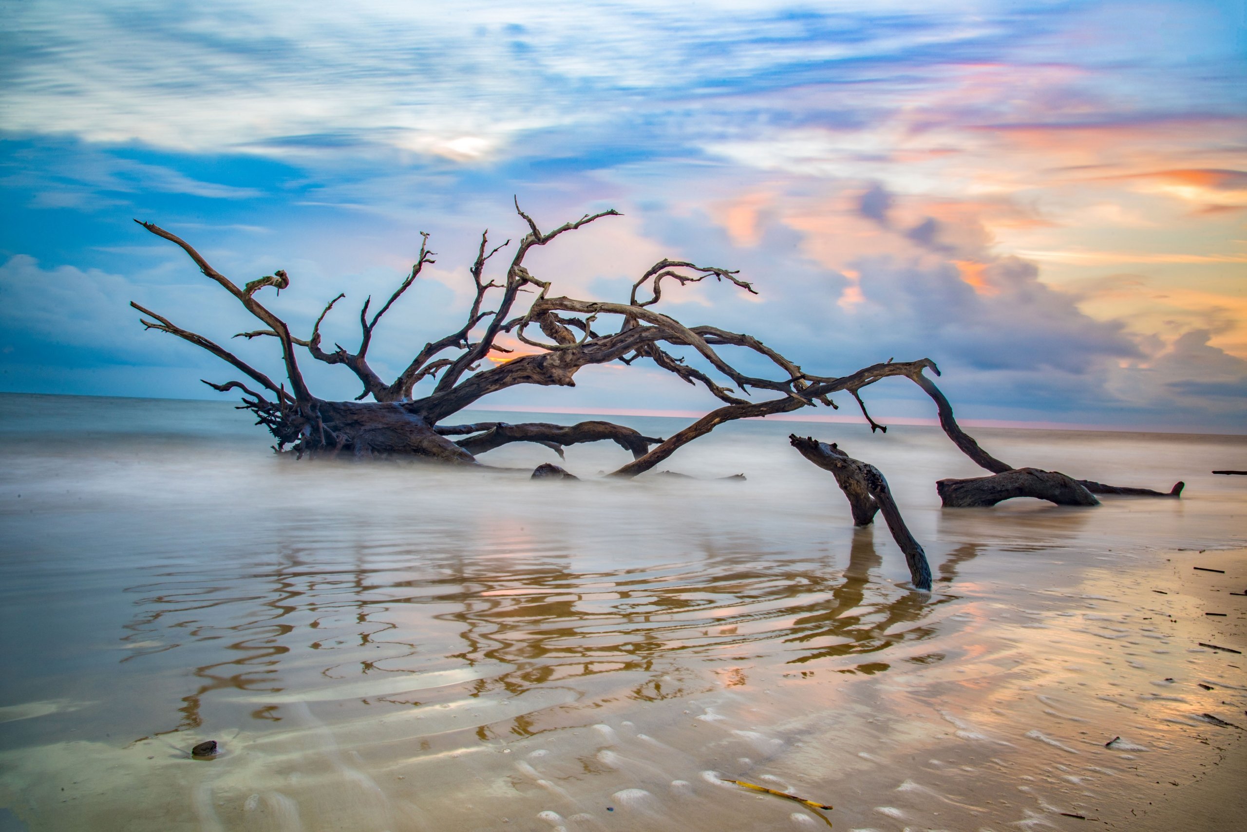 Georgia & Florida: Jekyll Island & St. Augustine 6