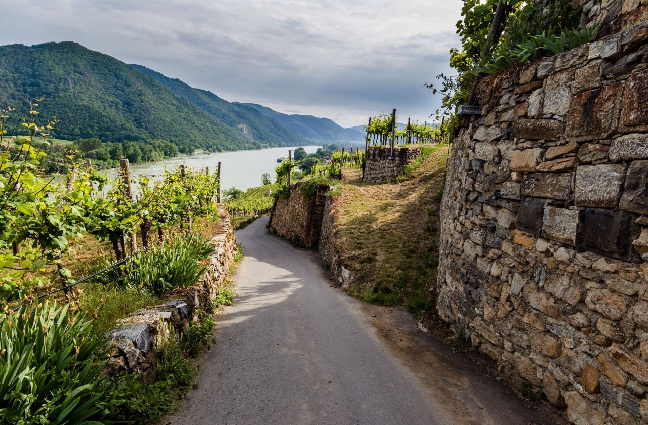 Germany Austria: The Danube River VBT Bicycling Vacations
