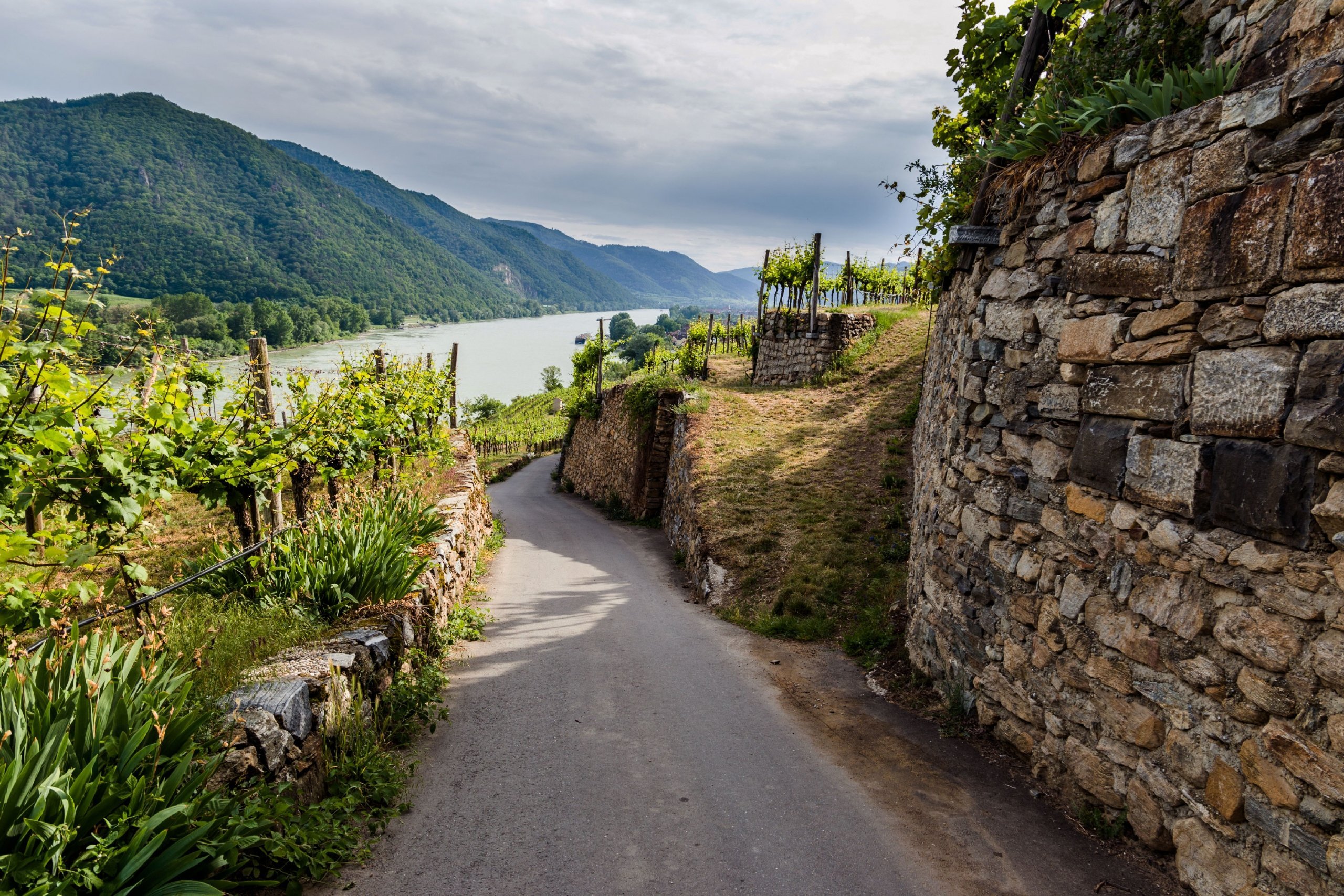 Germany & Austria: The Danube River
