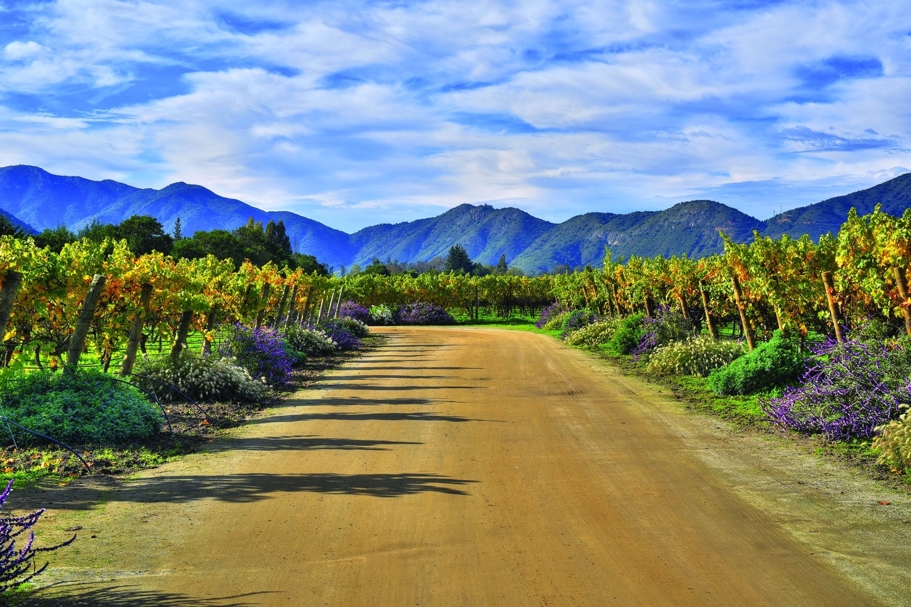 South America 2