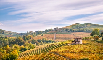 Italy: Piedmont, Langhe & the Italian Riviera 7
