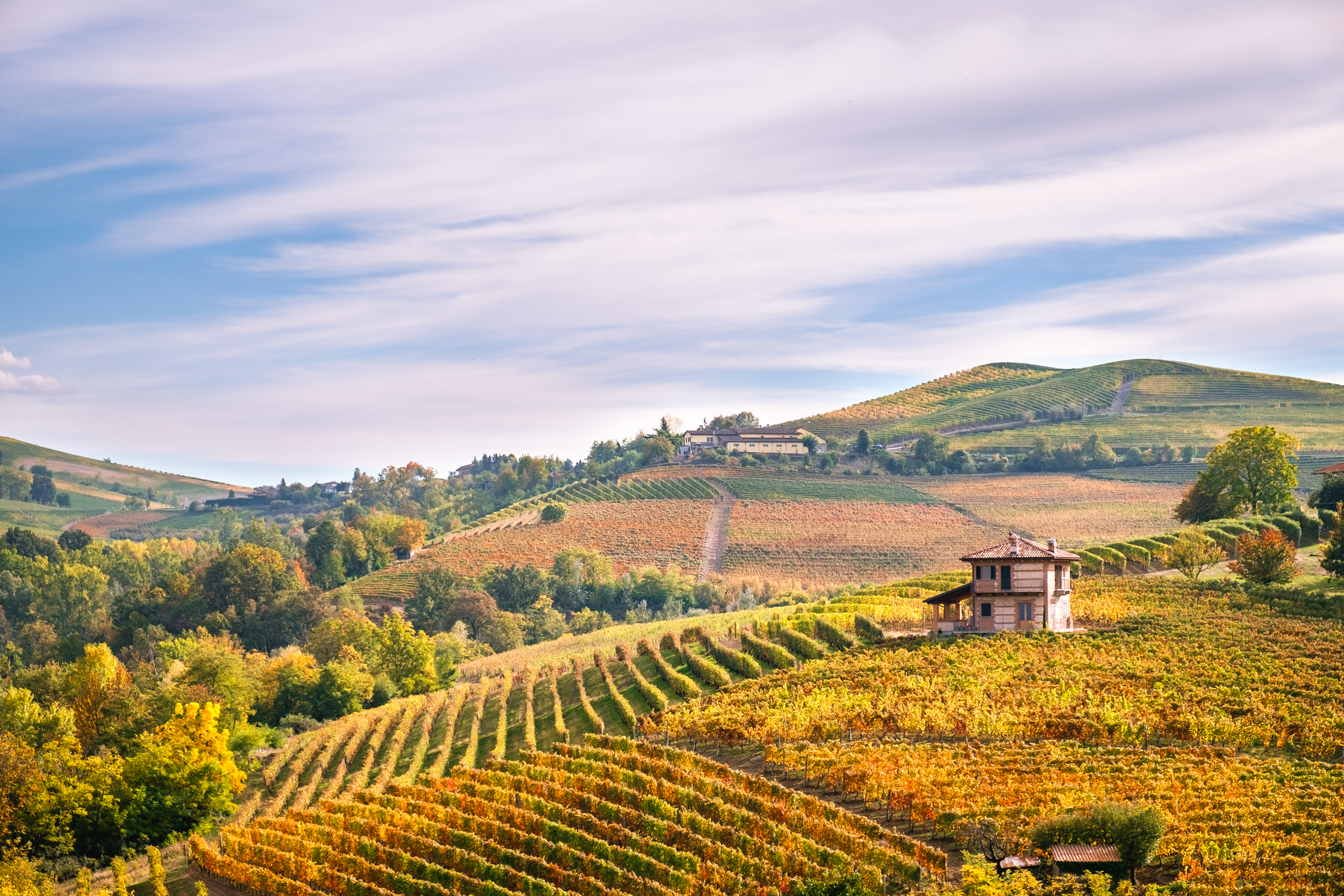 Italy: Piedmont, Langhe & the Italian Riviera 7