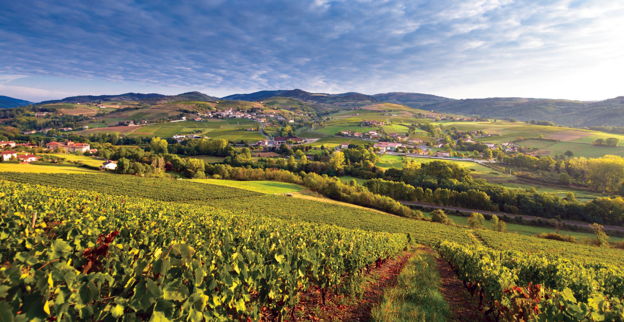 France: The Burgundy Wine Region & Dijon
