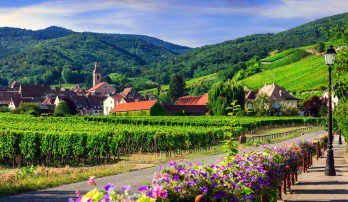 Rhine Bike & River Cruise: Basel to Amsterdam 15