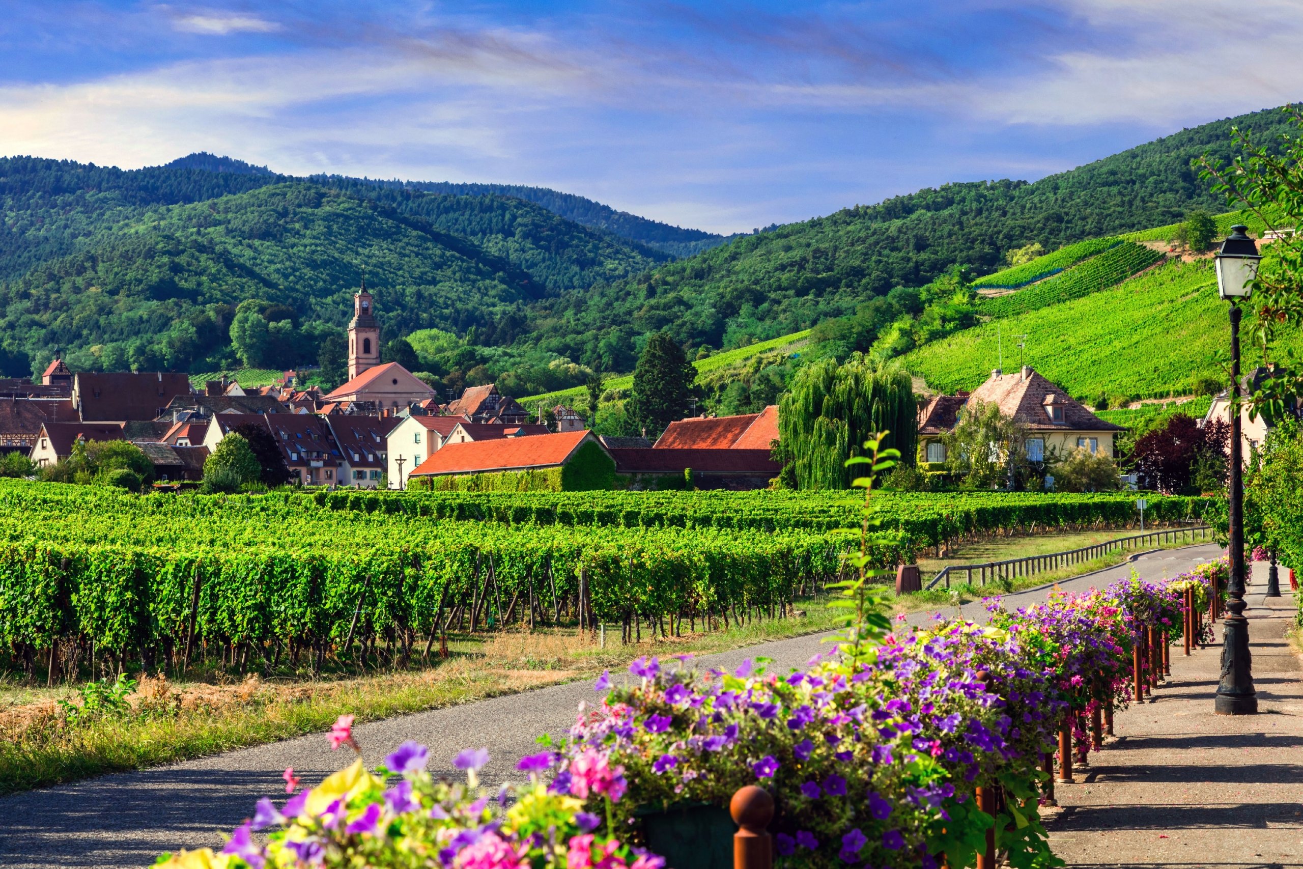 Rhine Bike & River Cruise: Basel to Amsterdam 15