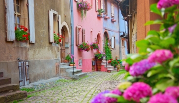Switzerland, Germany & France: The Black Forest & the Alsace Wine Route 11