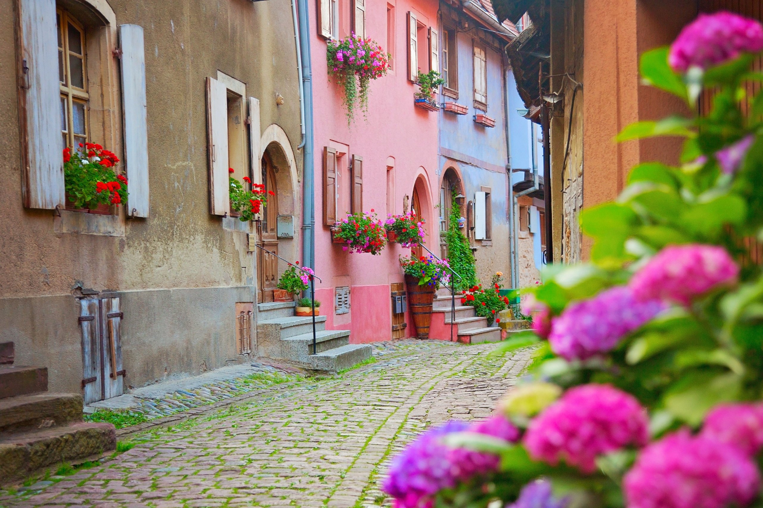 Switzerland, Germany & France: The Black Forest & the Alsace Wine Route 11