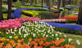 The Netherlands Bike & Boat: Springtime in Holland, Aboard the Princesse Royal 11