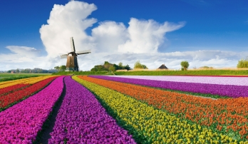 The Netherlands Bike & Boat: Springtime in Holland, Aboard the Princesse Royal 12