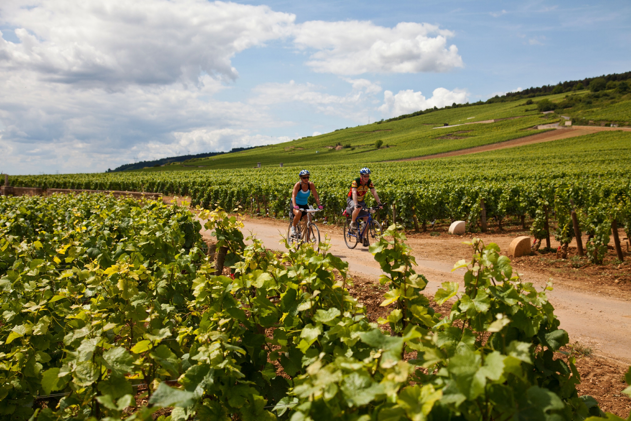 France: The Burgundy Wine Region & Dijon