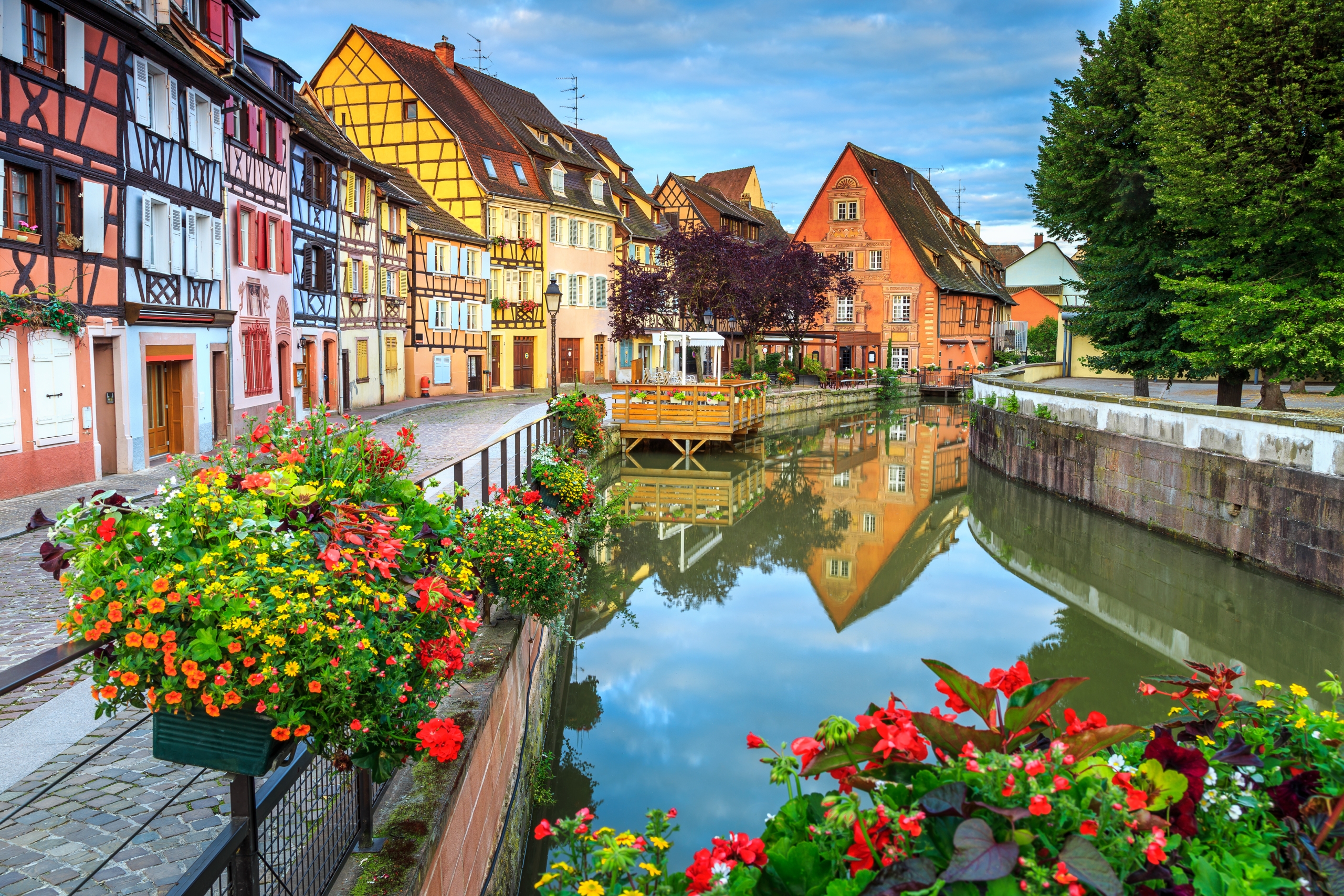 Switzerland, Germany & France: The Black Forest & the Alsace Wine Route
