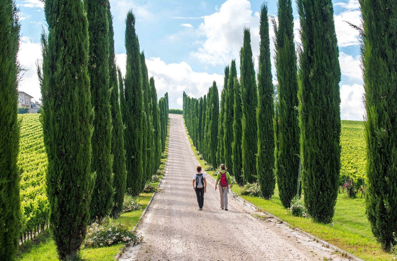 Two women walking down a dirt road amidst cypress trees in Tuscany, Italy