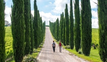 Two women walking down a dirt road amidst cypress trees in Tuscany, Italy