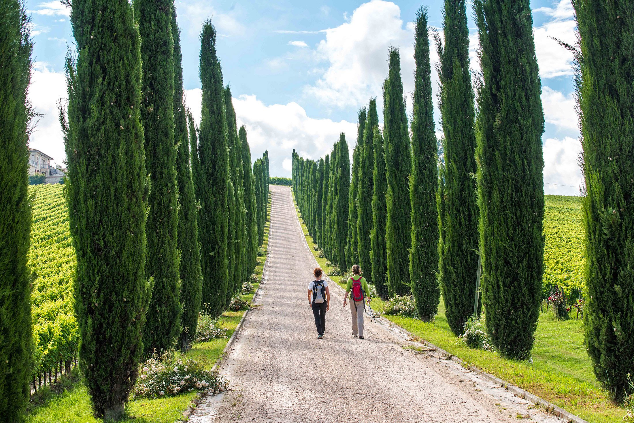 Two women walking down a dirt road amidst cypress trees in Tuscany, Italy