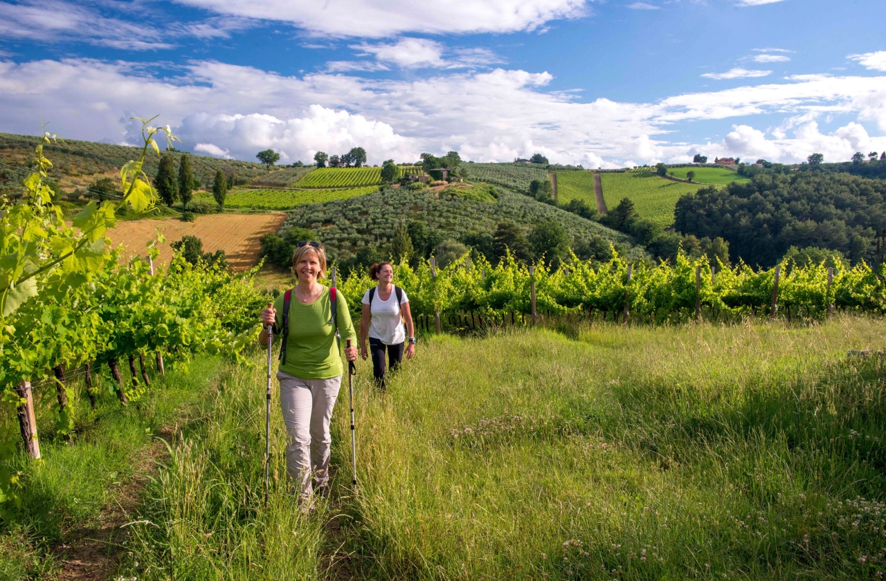 Two women hiking in greenery