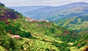 Scenic view of the Douro Valley in Portugal