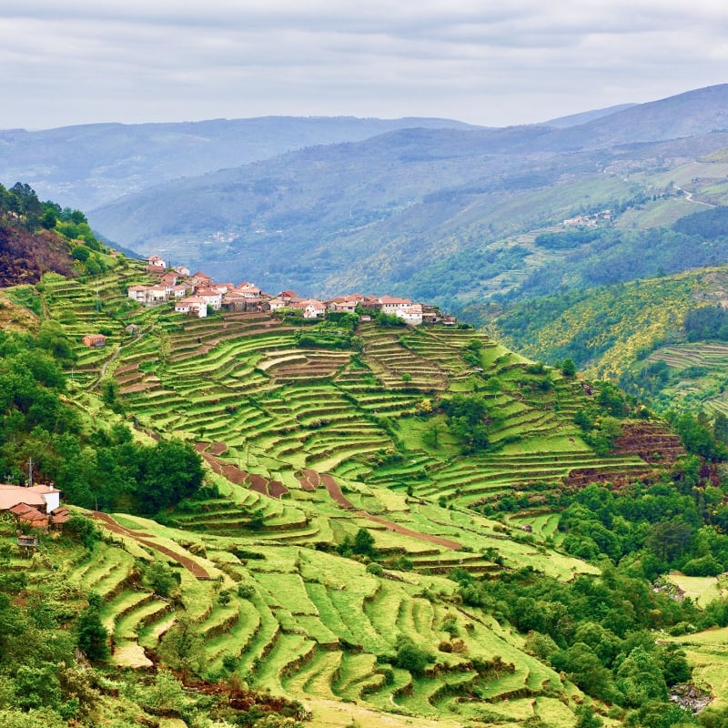 Scenic view of the Douro Valley in Portugal