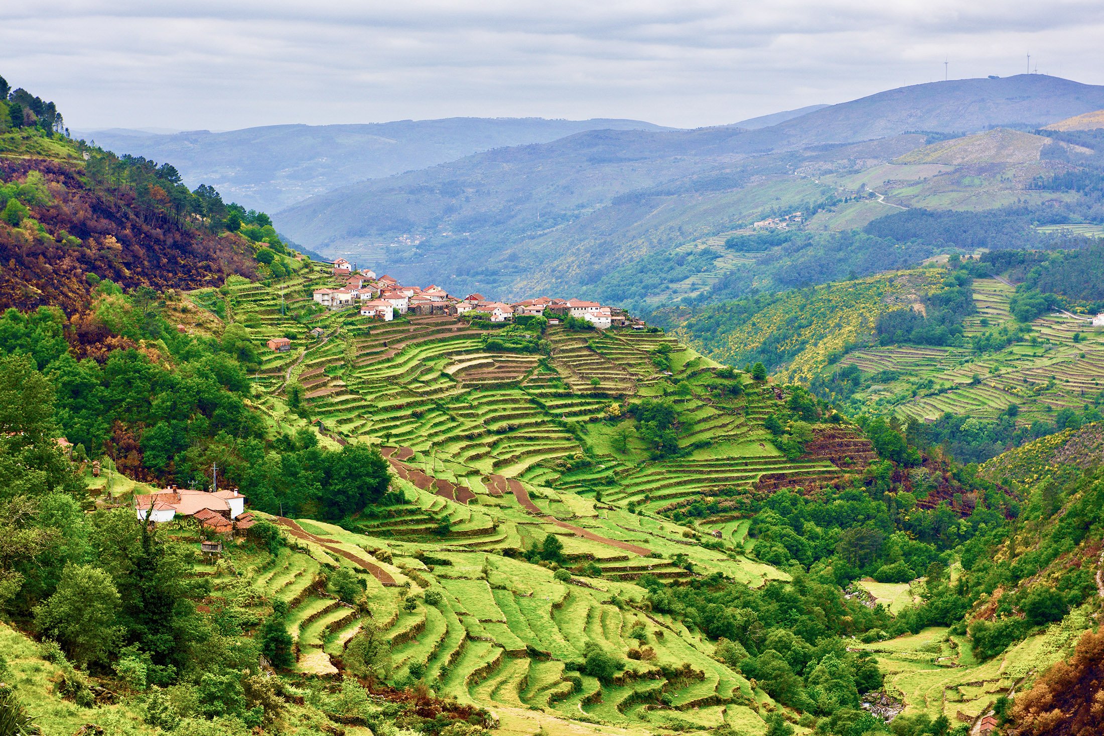 Scenic view of the Douro Valley in Portugal