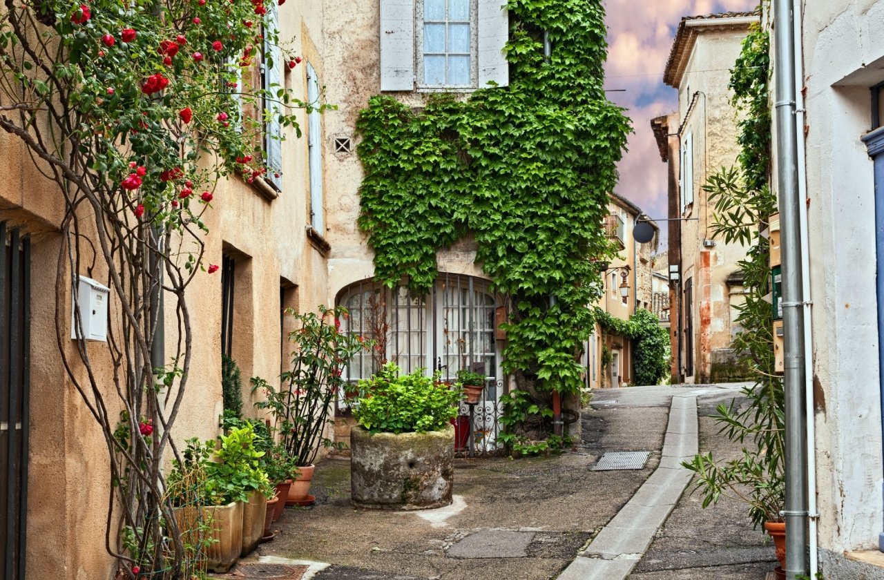 France: Provence & St. Rémy 15