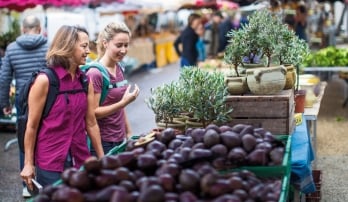 France: Provence & St. Rémy 4