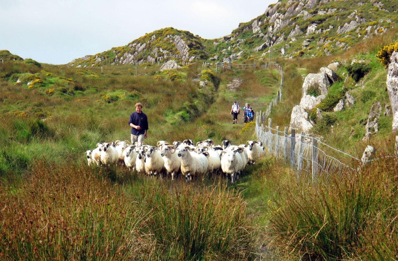 Ireland: Cork, Killarney & Dingle 2