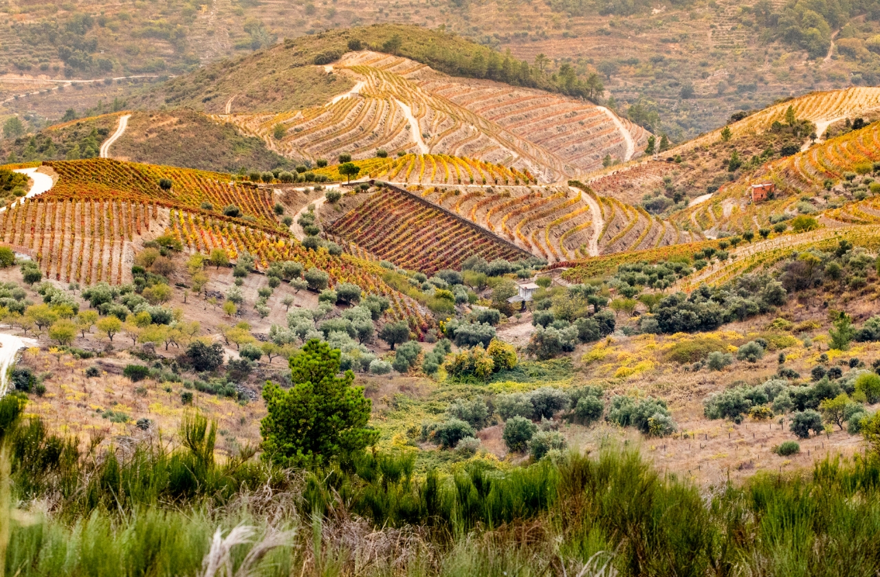 Minho & the Douro Valley landscape