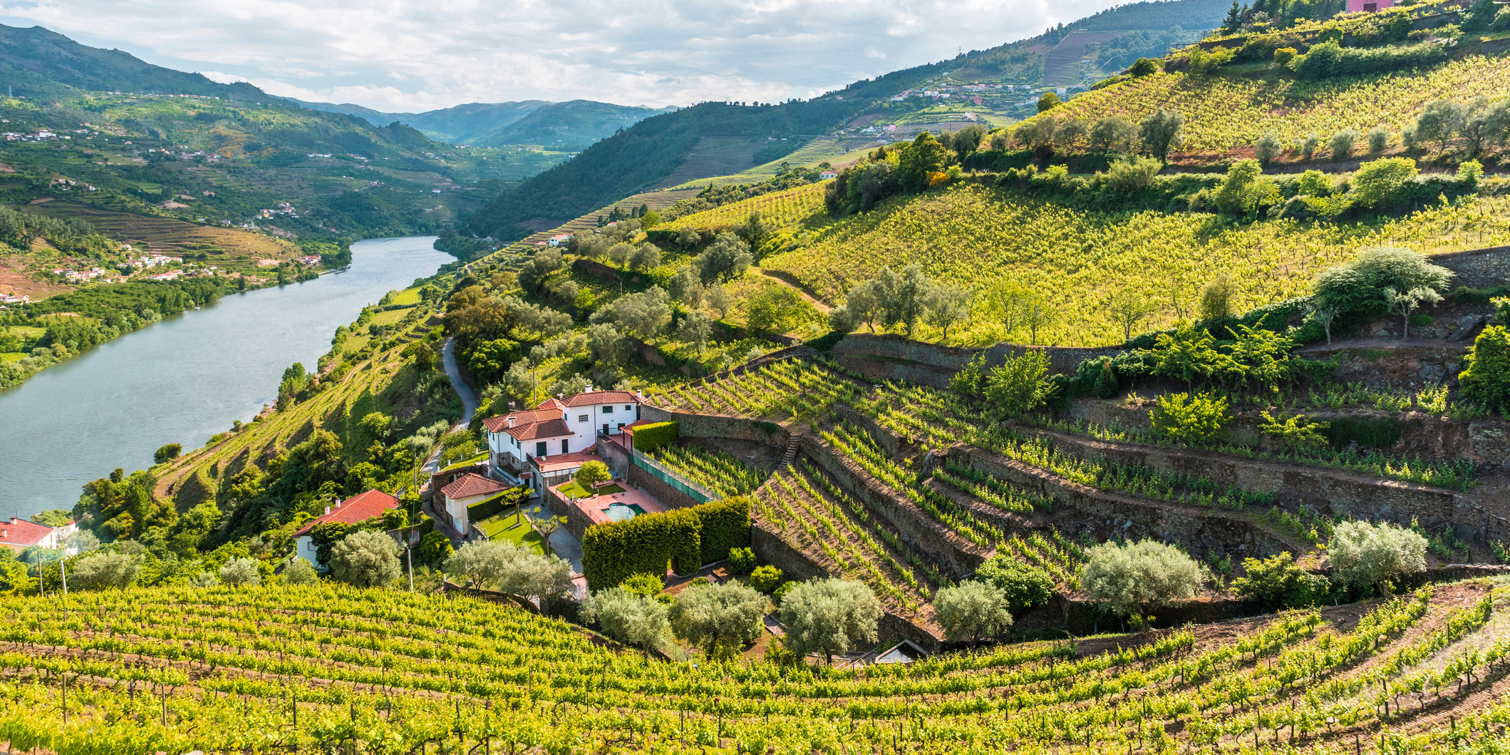 Portugal: Minho & the Douro Valley
