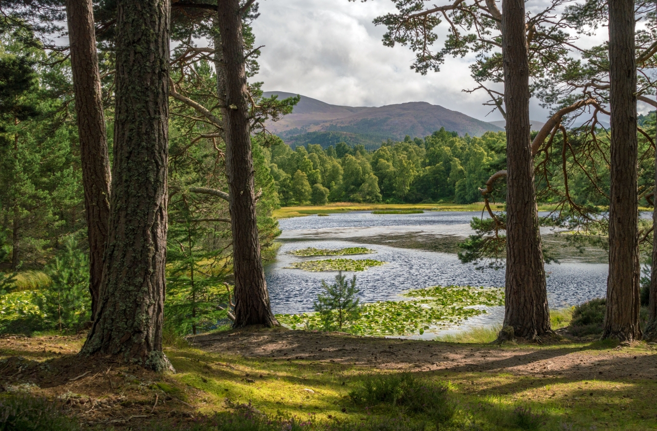 Scotland: The Scottish Highlands & Cairngorms National Park 1