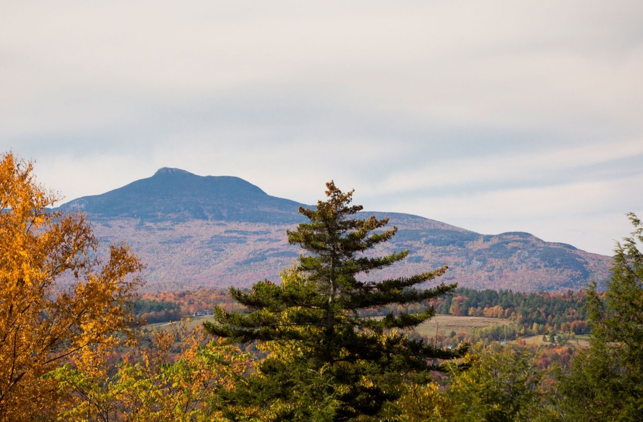 Vermont: Fall Foliage 4