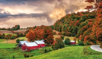 Vermont: Fall Foliage 3