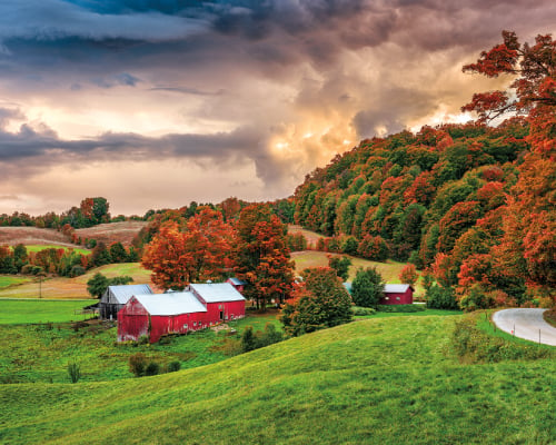 Vermont: Fall Foliage 3