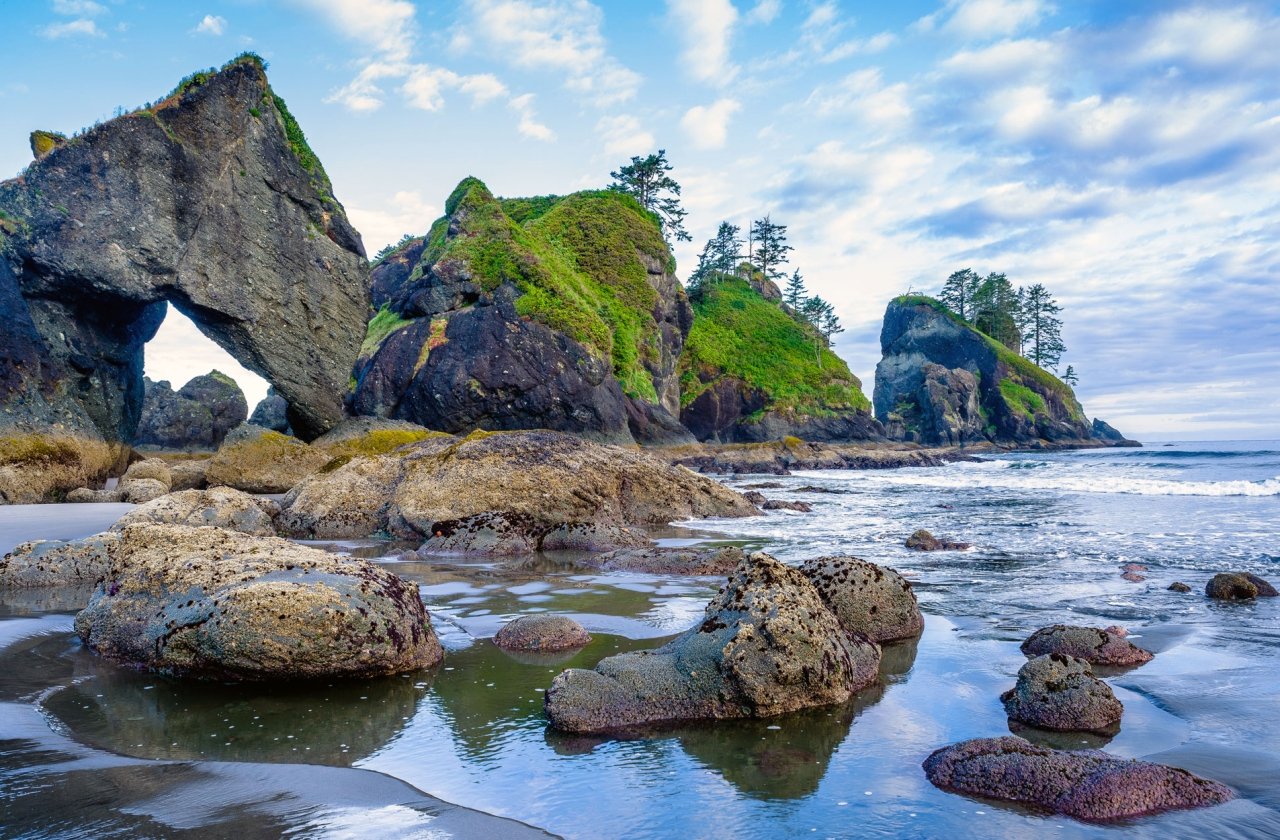 Beach view with rock formations in Olympic National Park