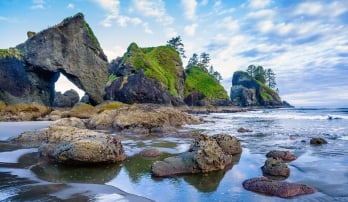 Beach view with rock formations in Olympic National Park