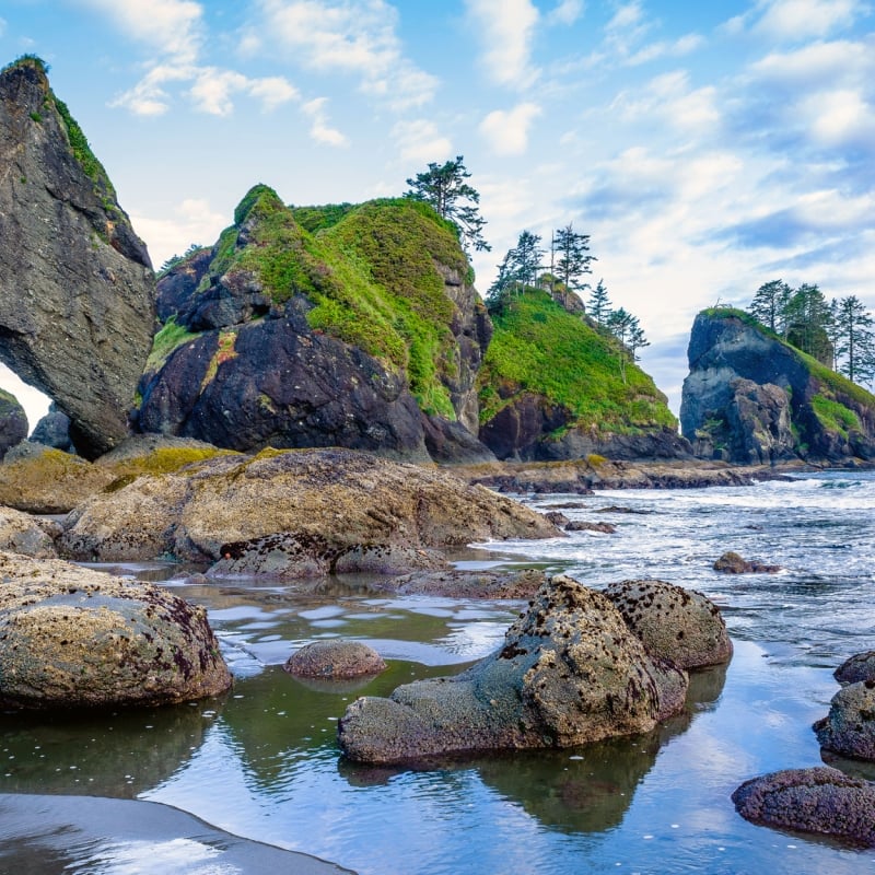 Beach view with rock formations in Olympic National Park