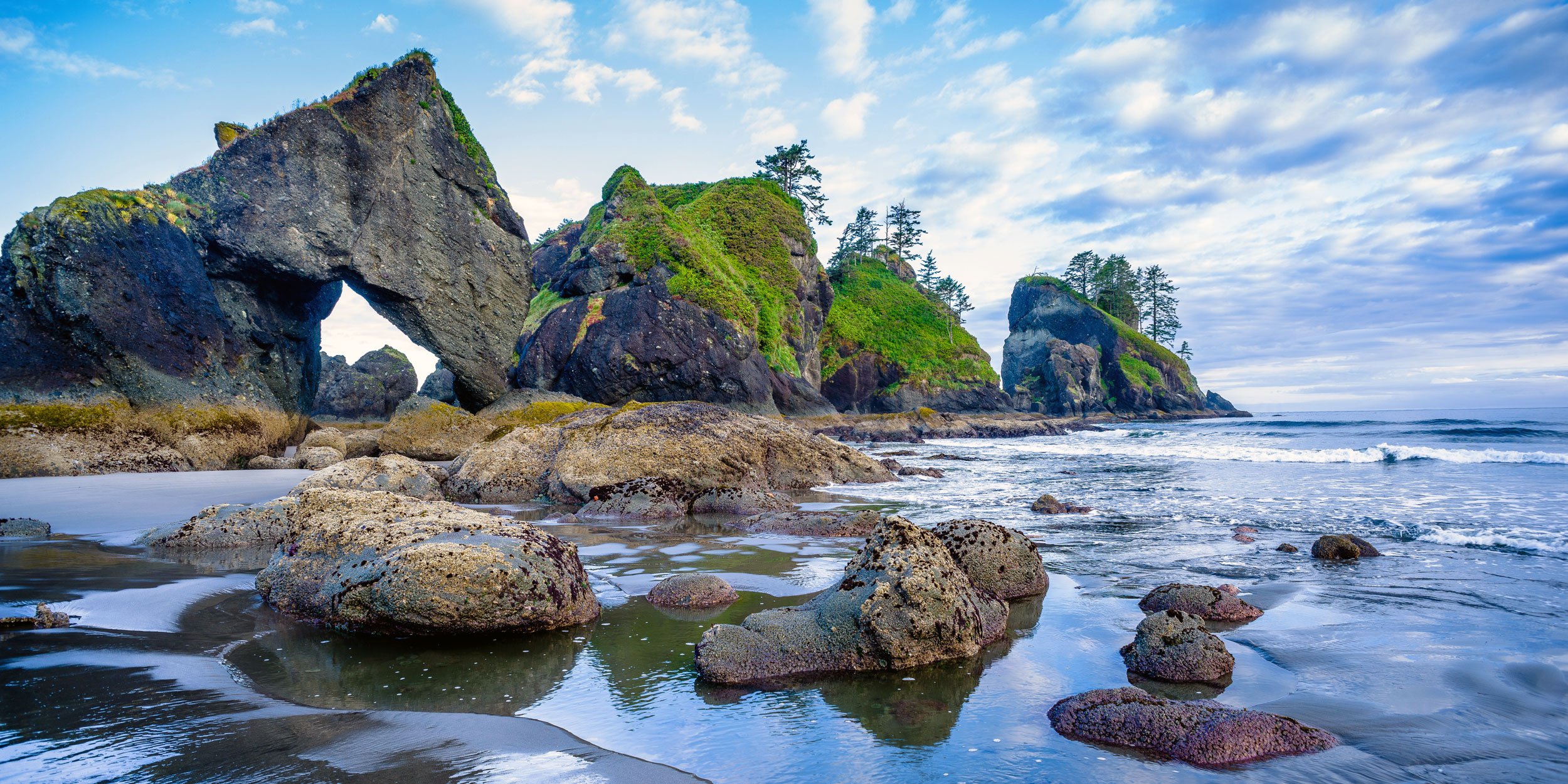 Beach view with rock formations in Olympic National Park