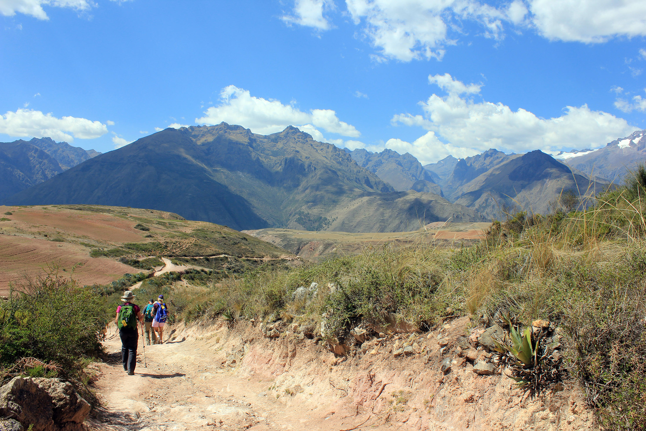 Rear view of people hiking on the mountains