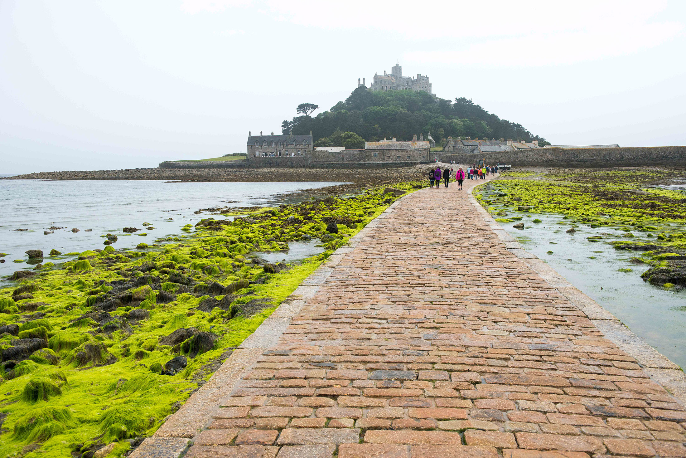 People walking on a brick pathway on water