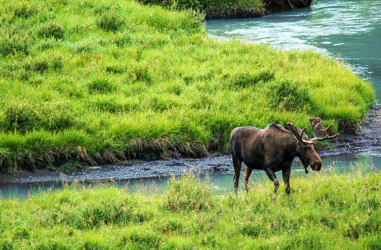 Alberta & British Columbia: Banff, Yoho & the Canadian Rockies 2