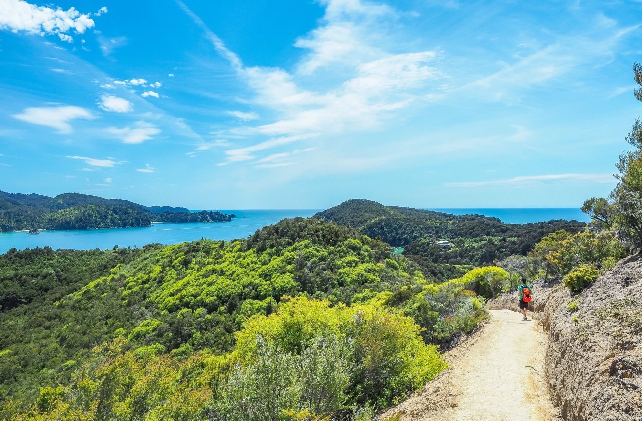 hiker on a scenic path with views of a bay in the distance, in New Zealand