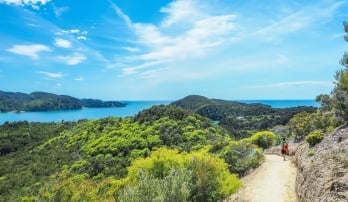 hiker on a scenic path with views of a bay in the distance, in New Zealand