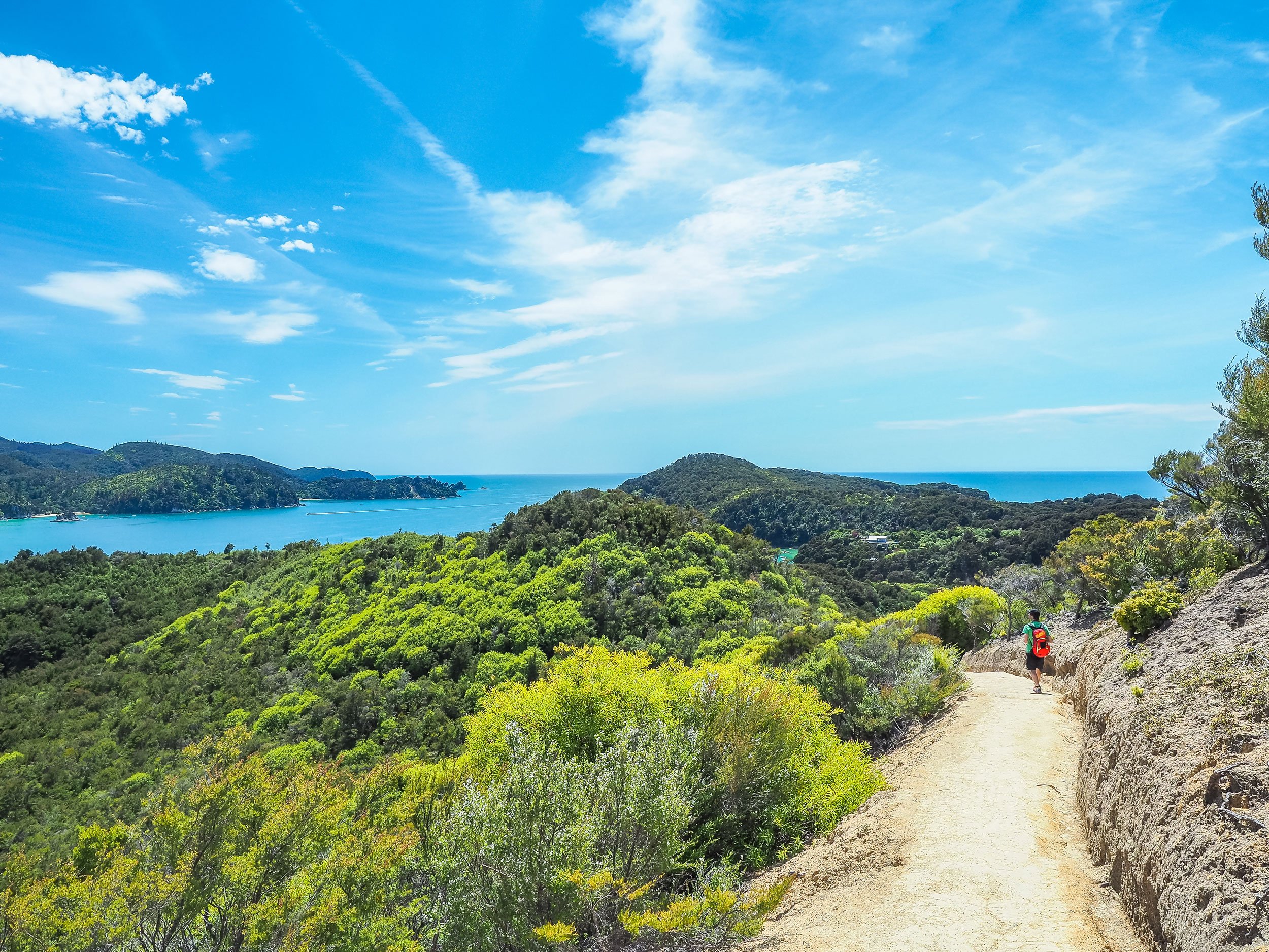 hiker on a scenic path with views of a bay in the distance, in New Zealand