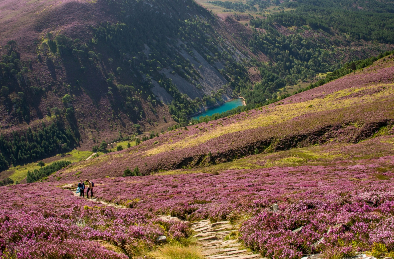 Scotland: The Scottish Highlands & Cairngorms National Park 2